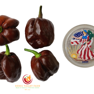 Chocolate Habanero Pepper