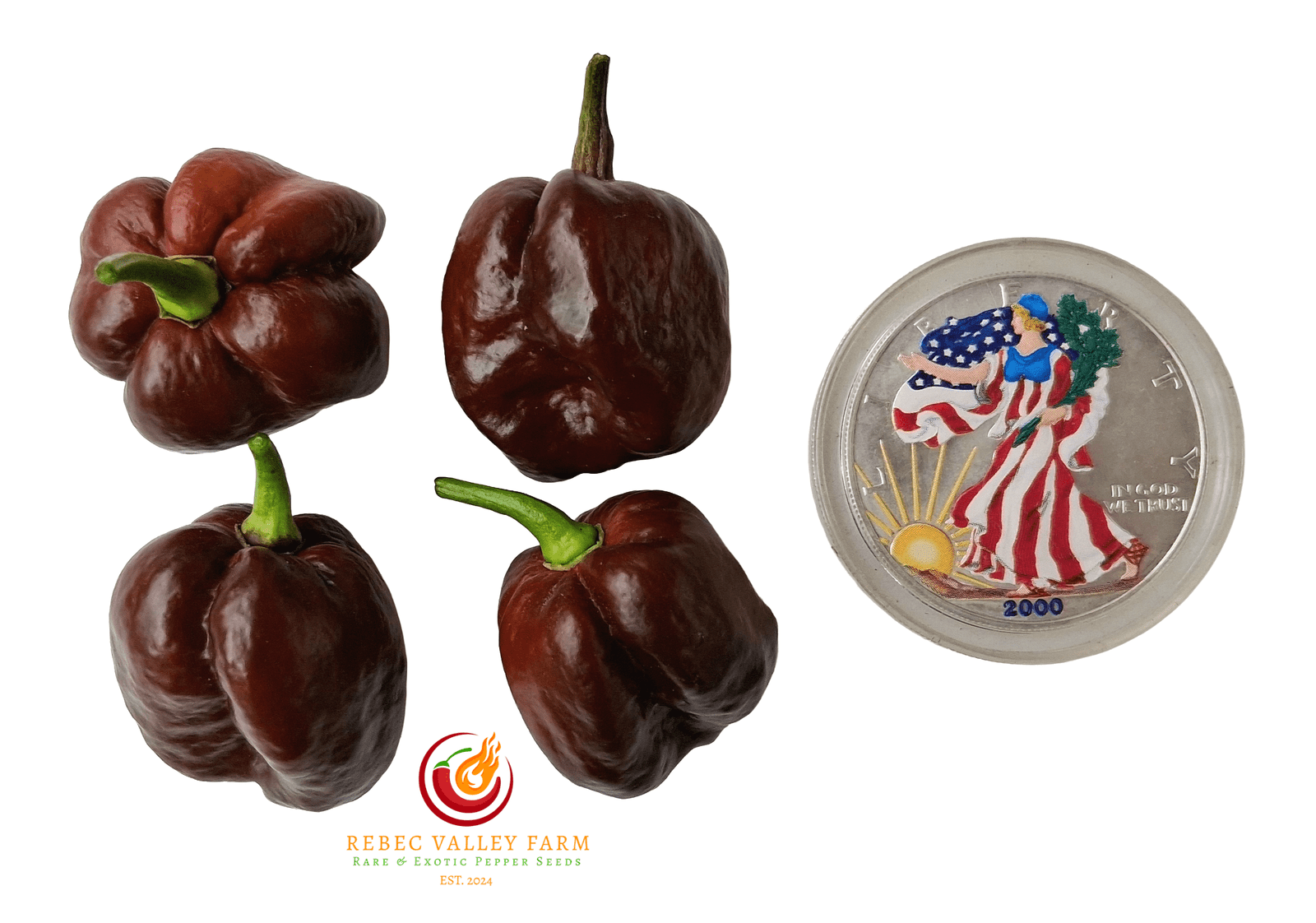 Chocolate Habanero Pepper