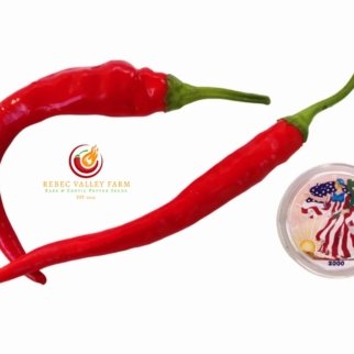 Corbaci Pepper