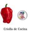 Criolla de Cocina Pepper Seeds