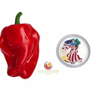 Ciolla de Cocina Pepper