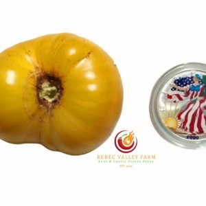 Dwarf Summer Sweet Gold Tomato