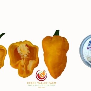 Faddas Yellow Pepper
