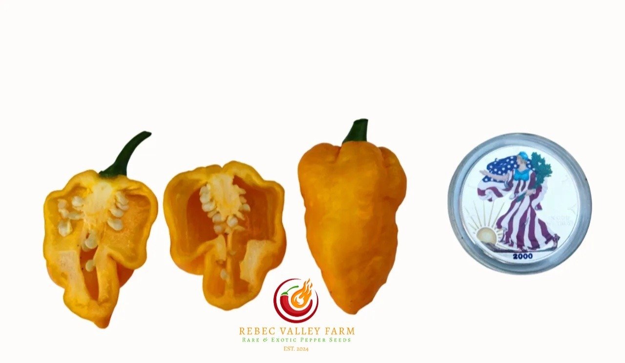 Faddas Yellow Pepper