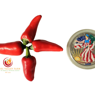 Fish Pepper
