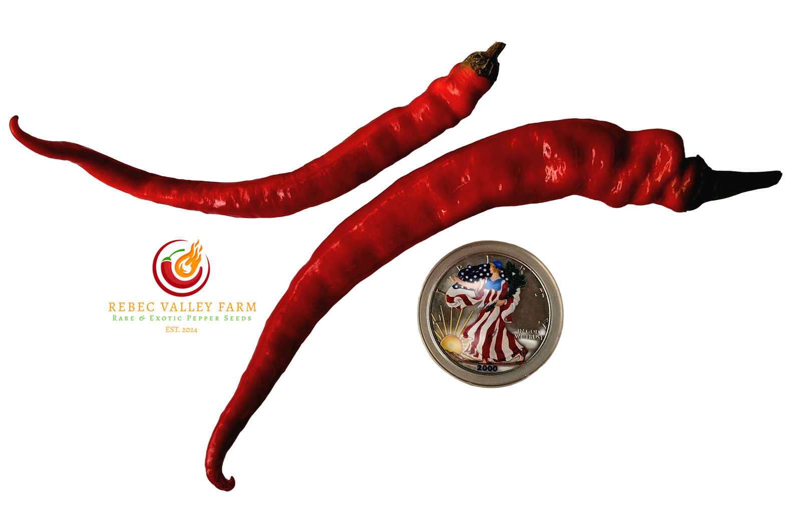 Hangjiao 5 Helix Nubula Pepper