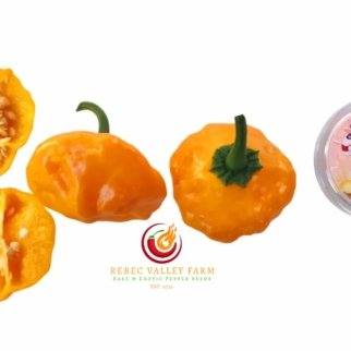 Jamaican Yellow Mushroom Pepper
