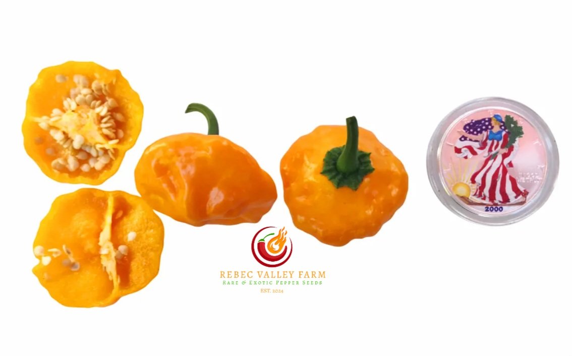 Jamaican Yellow Mushroom Pepper