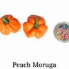 Peach Moruga Pepper