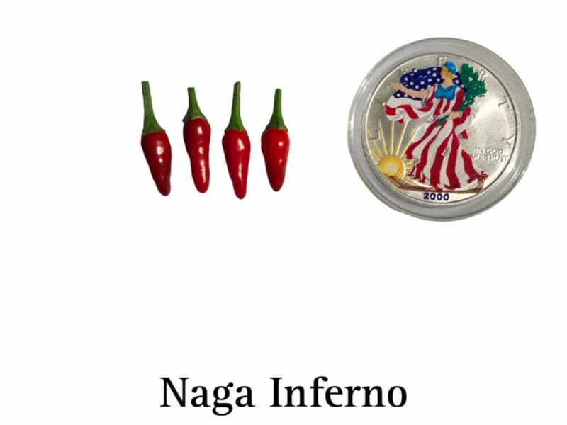Naga Inferno Hot Pepper Seeds