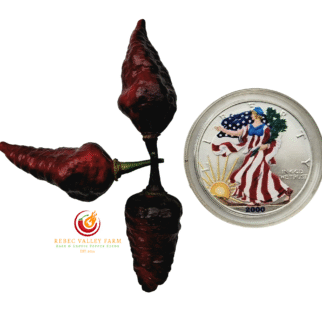 Naga Twister Black Multicolor Pepper