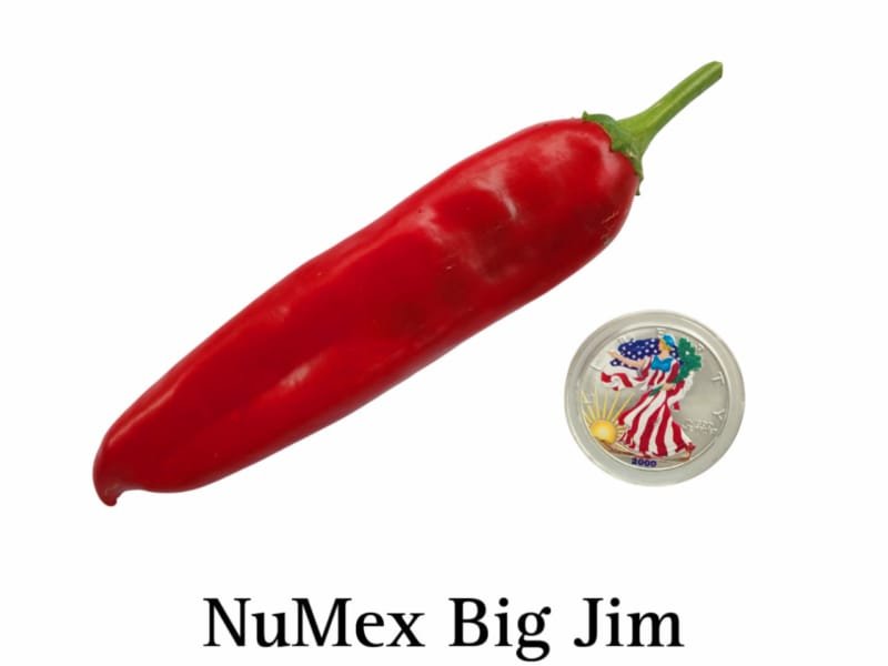 NuMex Big Jim Hot Pepper