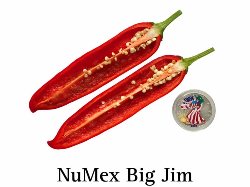 Big Jim Pepper
