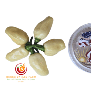 Peruvian White Habanero Pepper