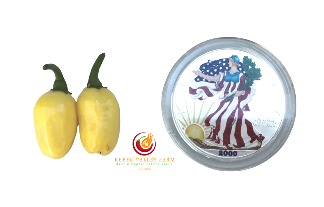 Peruvian White Habanero Pepper - Image 2