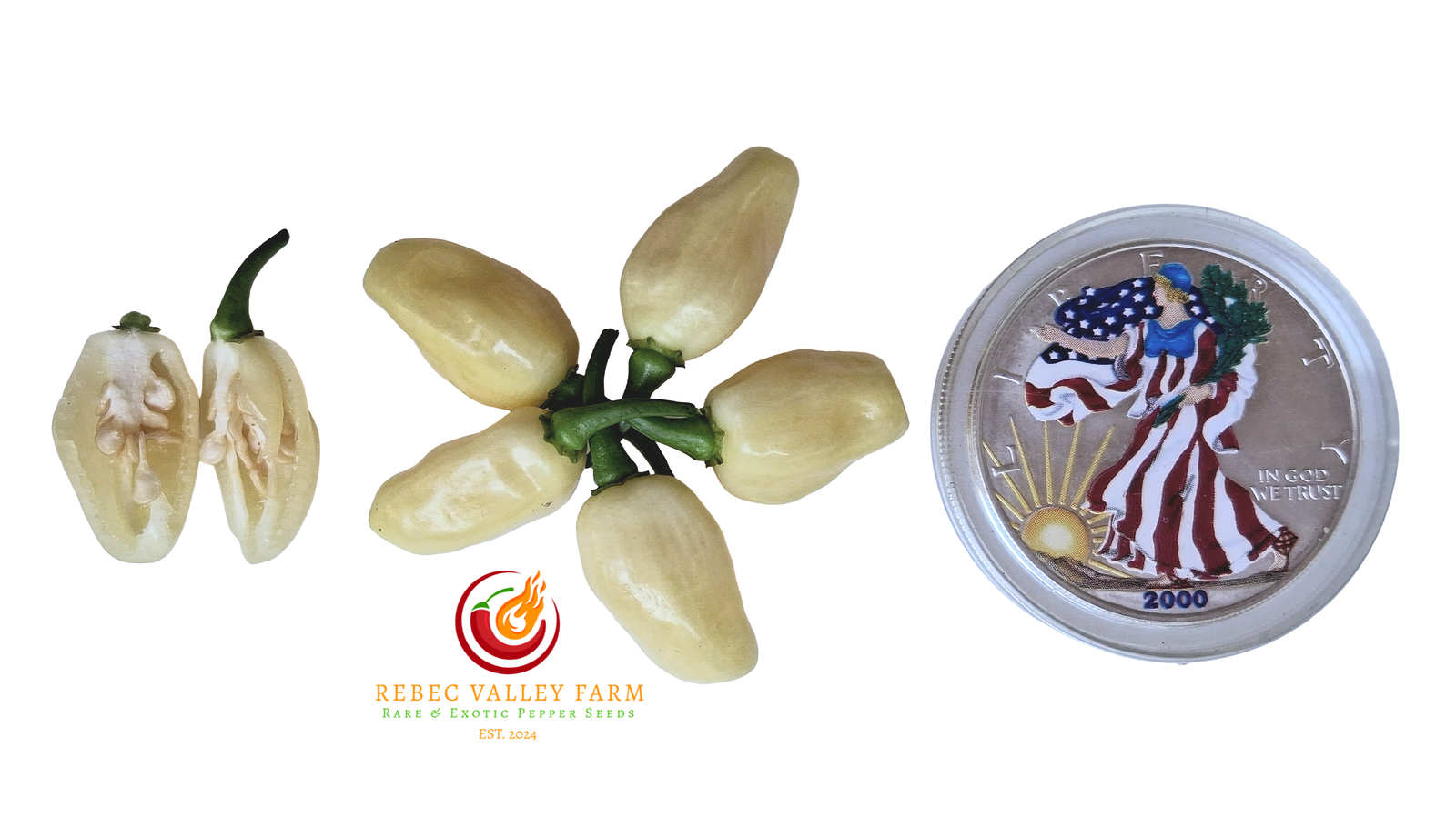 Peruvian White Habanero Pepper