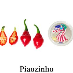 Piaozinho Hot Pepper Seeds