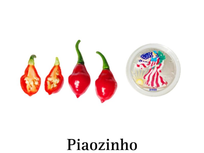 Piaozinho Hot Pepper Seeds