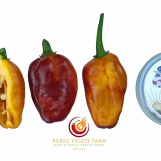 Pimenta Puma Pepper