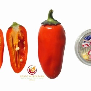 Pippin's Golden Honey Pepper