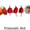 Red Primotalii Pepper