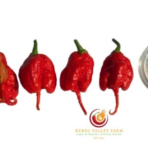 Red Primotalii Pepper