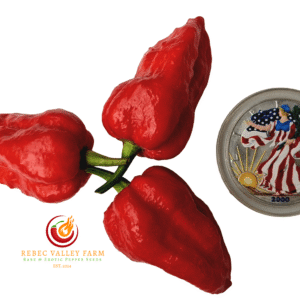 Purple BhutWrecker V2 Pepper