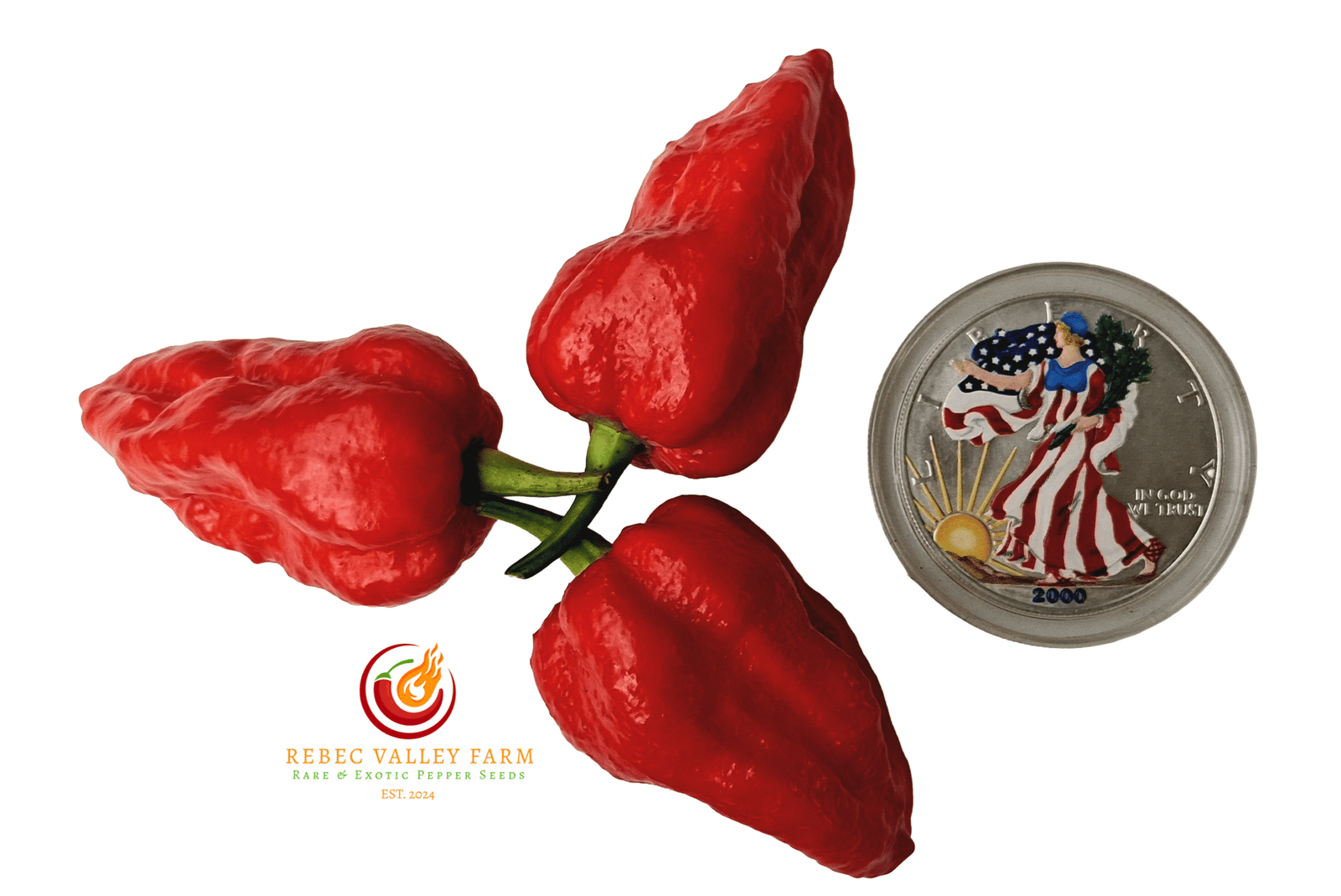 Purple BhutWrecker V2 Pepper