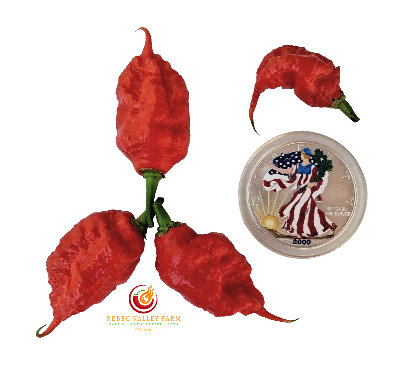 Red Primotalii Pepper - Image 2