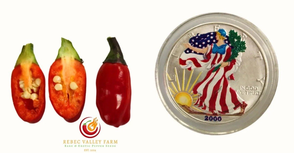 RH Lilac Variegated Pepper