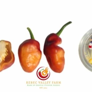 Roxa Orange Peach Pepper