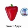 Sweet Apple Pepper Seeds