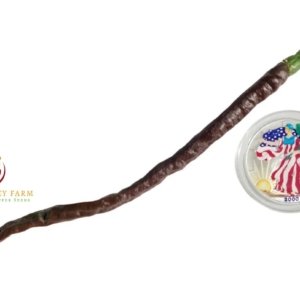 Thunder Cacho Brown Pepper