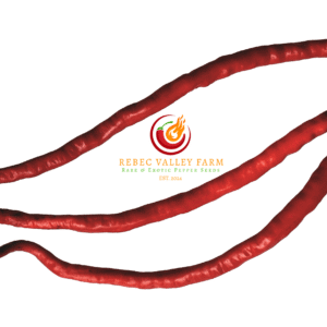 Thunder Mountain Longhorn Pepper