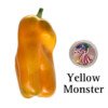 Yellow Monster Sweet Pepper Seeds