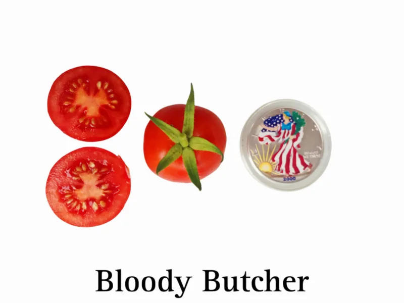 Bloody Butcher Tomato
