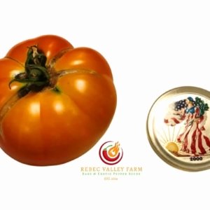 Dwarf Awesome Tomato