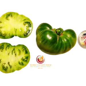 Emerald Green Giant Dwarf Tomato