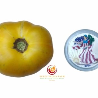 Rumpelstiltskin Dwarf Tomato