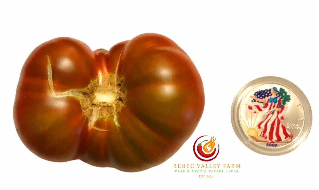 Tasmanian Chocolate Dwarf Tomato