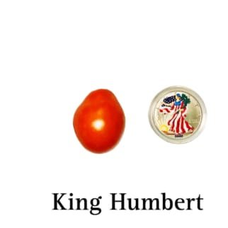King Humbert Tomato