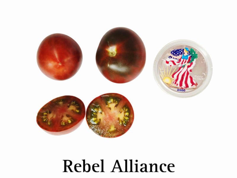 Rebel Alliance Tomato Seeds