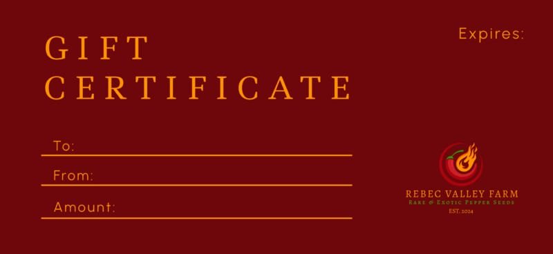 Gift Certificate
