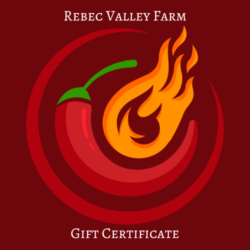 Gift Certificate