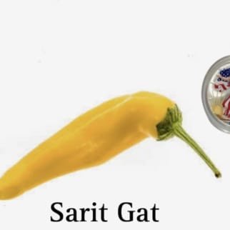 Sarit Gat Pepper