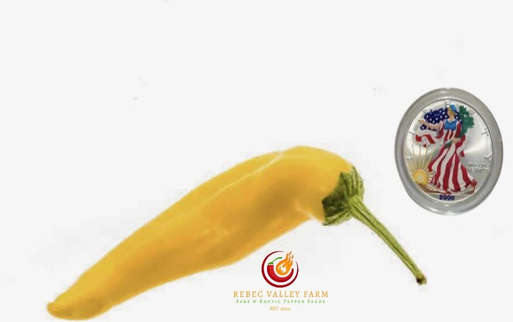 Sarit Gat Pepper - Image 3