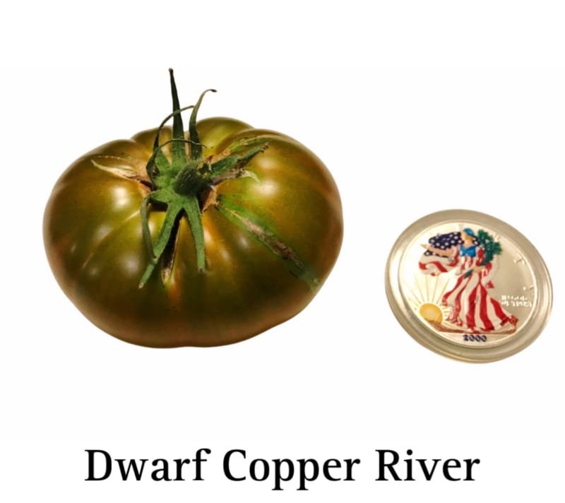 Copper River Tomato