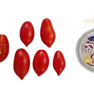 Laura #5 Micro Tomato