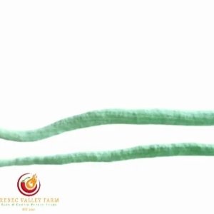 Indian Snake Bean Gourd