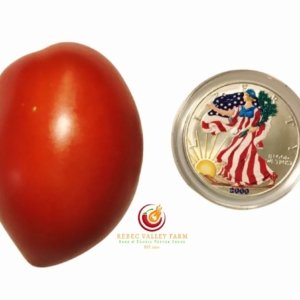 Micek's Yugoslavian Tomato